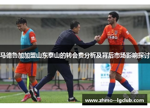 马德鲁加加盟山东泰山的转会费分析及背后市场影响探讨
