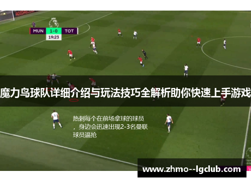 魔力鸟球队详细介绍与玩法技巧全解析助你快速上手游戏