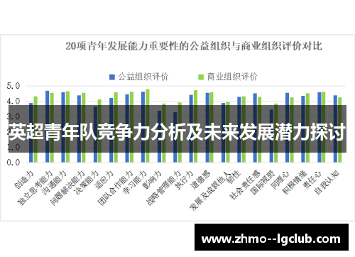 英超青年队竞争力分析及未来发展潜力探讨 英超青年队竞争力分析及未来发展潜力探讨